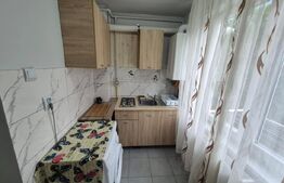 Garsonieră cochetă, 28 mp, complet renovată, ultracentral – Deva 