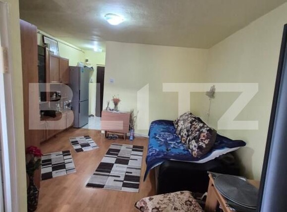Garsonieră de vânzare Zarand - 175093AV | BLITZ Deva | Poza1