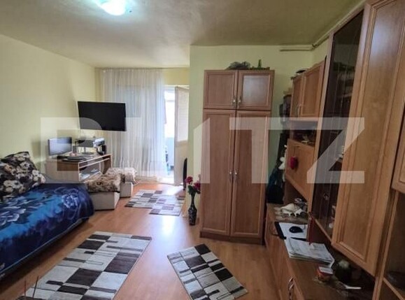 Garsonieră de vânzare Zarand - 175093AV | BLITZ Deva | Poza2