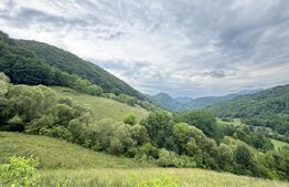 Teren extravilan 23.376 mp, în apropiere de Brad 