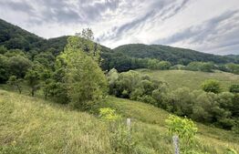 Teren extravilan 23.376 mp, în apropiere de Brad 