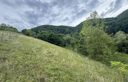 Teren extravilan 23.376 mp, în apropiere de Brad 