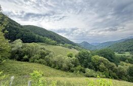 Teren extravilan 23.376 mp, în apropiere de Brad 