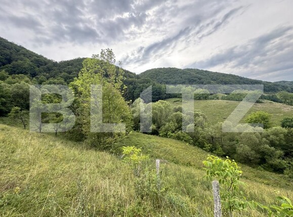 Teren de vânzare Periferie - 175150TV | BLITZ Deva | Poza1