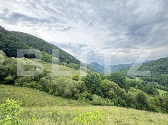 Teren de vânzare Periferie - 175150TV | BLITZ Deva | Poza3