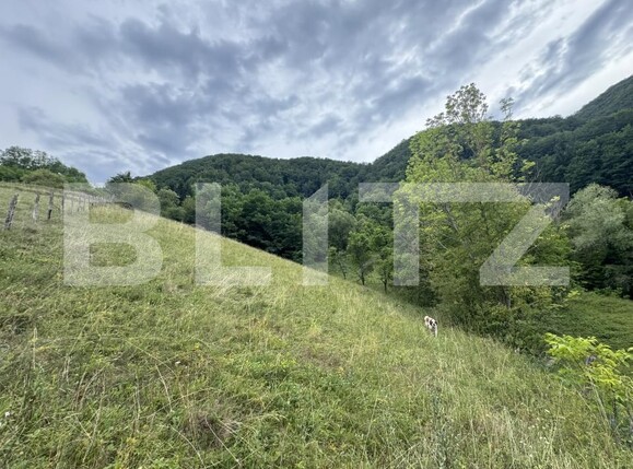 Teren de vânzare Periferie - 175150TV | BLITZ Deva | Poza2