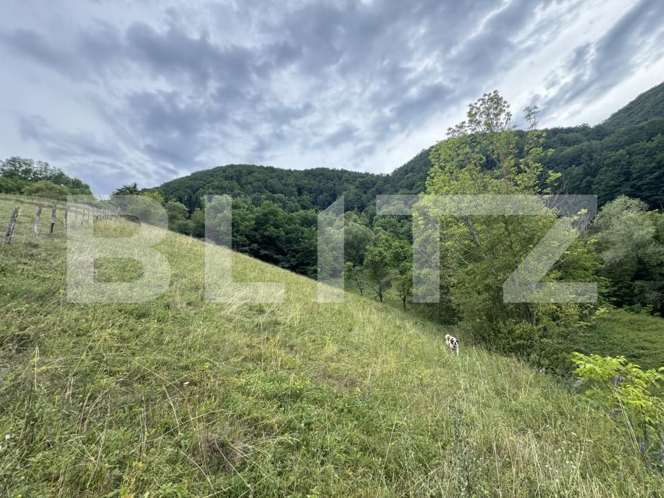 Teren de vânzare Periferie - 175150TV | BLITZ Deva | Poza2