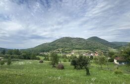 Teren intravilan, 4364 mp, in Luncoiu de Jos