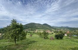 Teren intravilan, 4364 mp, in Luncoiu de Jos