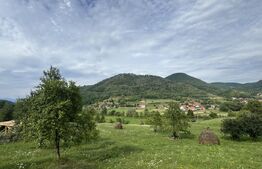 Teren intravilan, 4364 mp, in Luncoiu de Jos