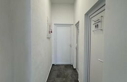 Spatiu de inchiriat, 100 mp, Ultracentral