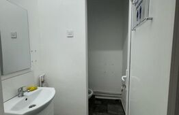 Spatiu de inchiriat, 100 mp, Ultracentral