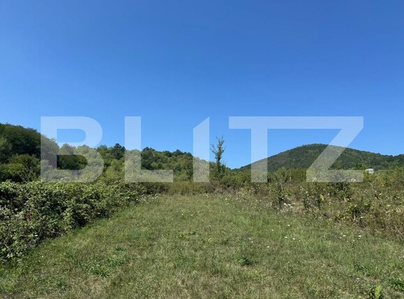 Teren de vânzare Periferie - 175490TV | BLITZ Deva | Poza3