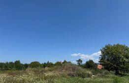 Teren de vânzare Periferie - 169065TV | BLITZ Deva | Poza4