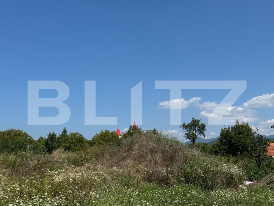 Teren de vânzare Central - 175491TV | BLITZ Deva | Poza2