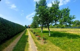 Casa cu 6 camere in Harau, 319mp