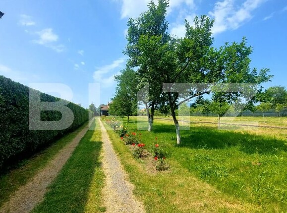 Casa de vânzare 6 camere Harau - 175765CV | BLITZ Deva | Poza14