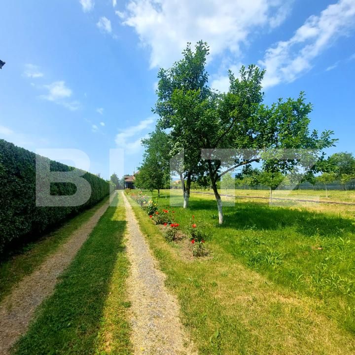 Casa de vânzare 6 camere Harau - 175765CV | BLITZ Deva | Poza14