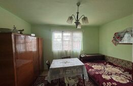 Casa cu 2 camere 50 mp si 836 mp teren, in Magura