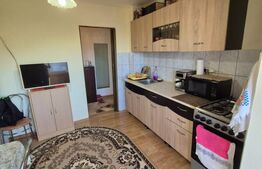 Apartament central, 2 camere, 54 mp, vedere spre Cetatea Devei