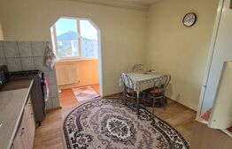 Apartament central, 2 camere, 54 mp, vedere spre Cetatea Devei