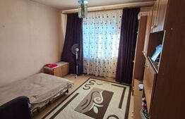 Apartament central, 2 camere, 54 mp, vedere spre Cetatea Devei