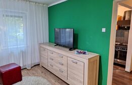 Apartament 2 camere, parter – complet renovat, mobilat și utilat – zonă Pompieri