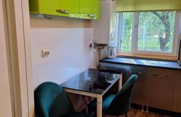 Apartament 2 camere, parter – complet renovat, mobilat și utilat – zonă Pompieri