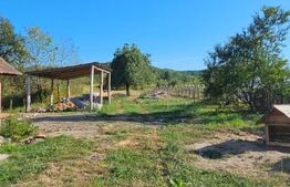 Două unități locative tip cabană – sat Pojoga, jud. Hunedoara – teren 1706 mp