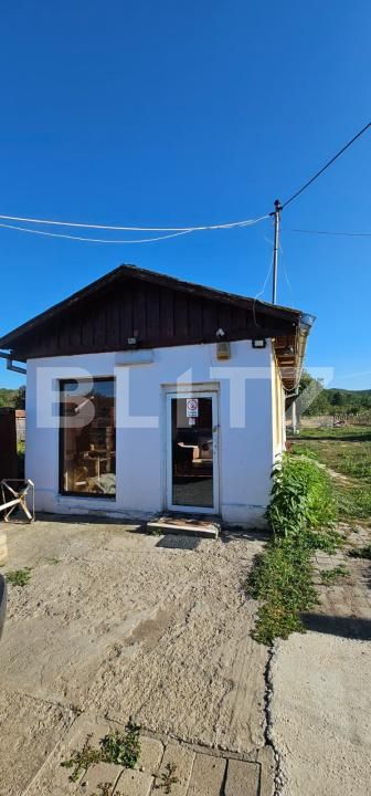 Casa de vânzare 2 camere Vest - 176765CV | BLITZ Deva | Poza2