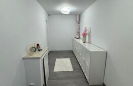 Casa moderna cu 3 camere, zona Cincis-Cerna