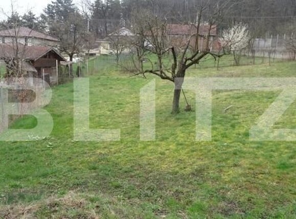 Casa de vânzare 5 camere Viile Noi - 176866CV | BLITZ Deva | Poza11