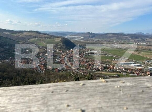 Casa de vânzare 5 camere Viile Noi - 176866CV | BLITZ Deva | Poza12