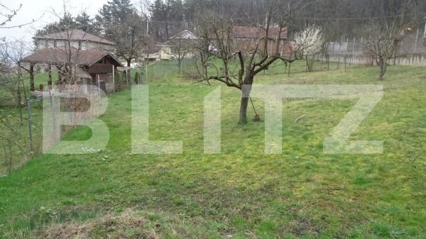 Casa de vânzare 5 camere Viile Noi - 176866CV | BLITZ Deva | Poza11