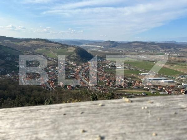 Casa de vânzare 5 camere Viile Noi - 176866CV | BLITZ Deva | Poza12