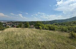 Teren de vânzare Orastie - 182959TV | BLITZ Deva | Poza3