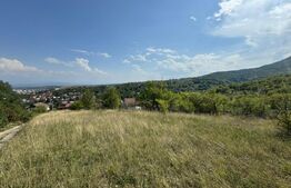 Teren intravilan de vanzare, 1495 mp, in Deva 