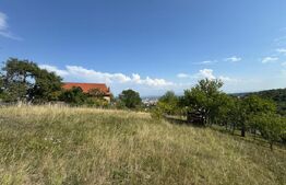 Teren intravilan de vanzare, 1495 mp, in Deva 