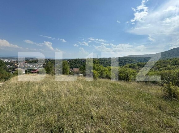 Teren de vânzare Sud-Est - 176873TV | BLITZ Deva | Poza1