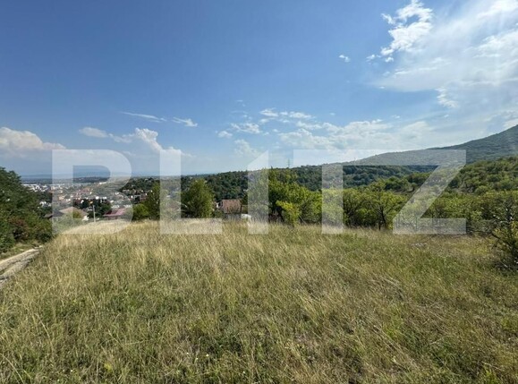 Teren de vânzare Sud-Est - 176873TV | BLITZ Deva | Poza4