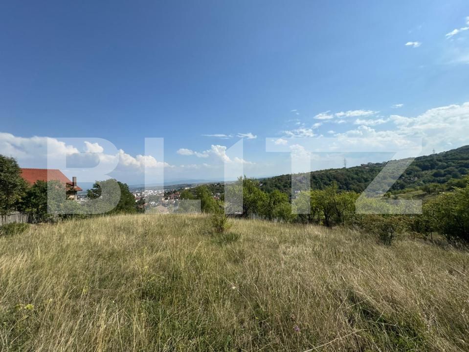 Teren de vânzare Sud-Est - 176873TV | BLITZ Deva | Poza5