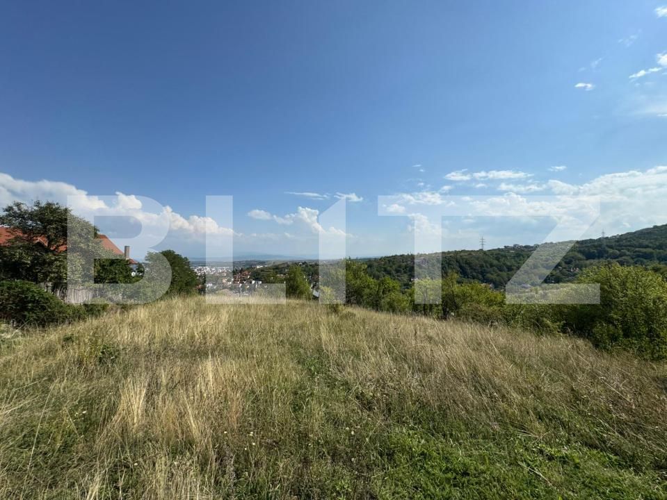 Teren de vânzare Sud-Est - 176873TV | BLITZ Deva | Poza2