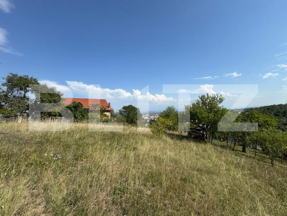 Teren de vânzare Sud-Est - 176873TV | BLITZ Deva | Poza3