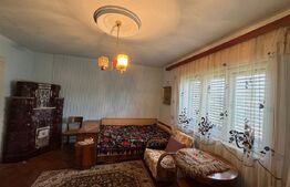 Casă în Băcia – teren generos 6.557 mp, ideal pentru investiție!