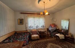 Casă în Băcia – teren generos 6.557 mp, ideal pentru investiție!