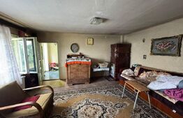 Casă în Băcia – teren generos 6.557 mp, ideal pentru investiție!