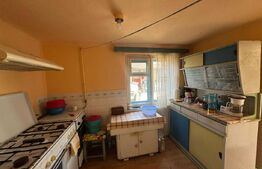 Casă în Băcia – teren generos 6.557 mp, ideal pentru investiție!