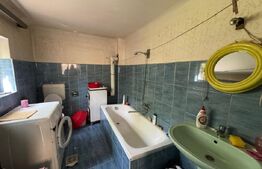 Casă în Băcia – teren generos 6.557 mp, ideal pentru investiție!