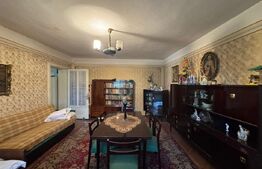 Casă în Băcia – teren generos 6.557 mp, ideal pentru investiție!