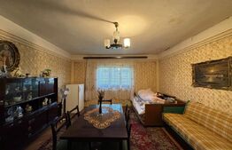 Casă în Băcia – teren generos 6.557 mp, ideal pentru investiție!